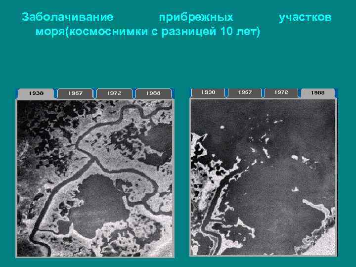 Заболачивание прибрежных моря(космоснимки с разницей 10 лет) участков 