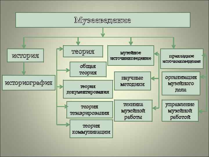 Музееведение история теория общая теория историография теория документирования теория тезаврирования теория коммуникации музейное источниковедение