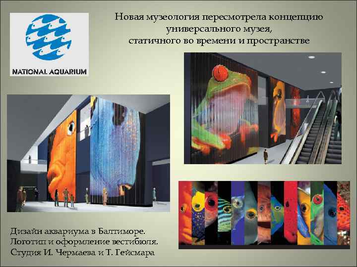 Новая музеология пересмотрела концепцию универсального музея, статичного во времени и пространстве Дизайн аквариума в