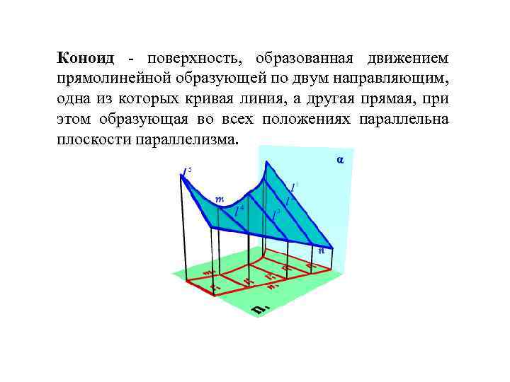 Коноид - поверхность, образованная движением прямолинейной образующей по двум направляющим, одна из которых кривая