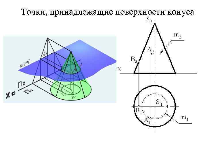 Точки поверхности. Поверхности конуса вращения принадлежат точки. Поверхности конуса принадлежит точка. Точки на поверхности конуса. Точки на конической поверхности.