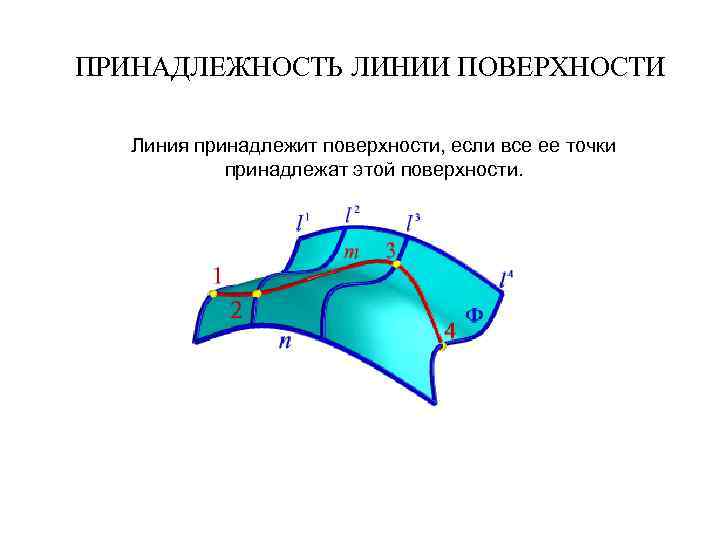 Линии и поверхности. Принадлежность линии поверхности. Принадлежность линии плоскости и поверхности. Принадлежность точки и линии плоскости и поверхности. Признак принадлежности линии поверхности.