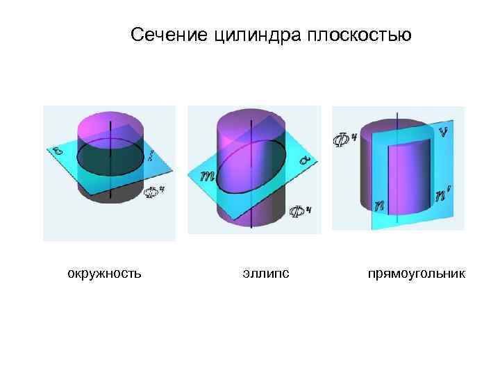 5 сечений цилиндра