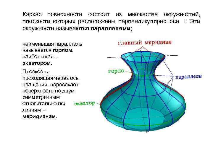 Каркас поверхности состоит из множества окружностей, плоскости которых расположены перпендикулярно оси i. Эти окружности