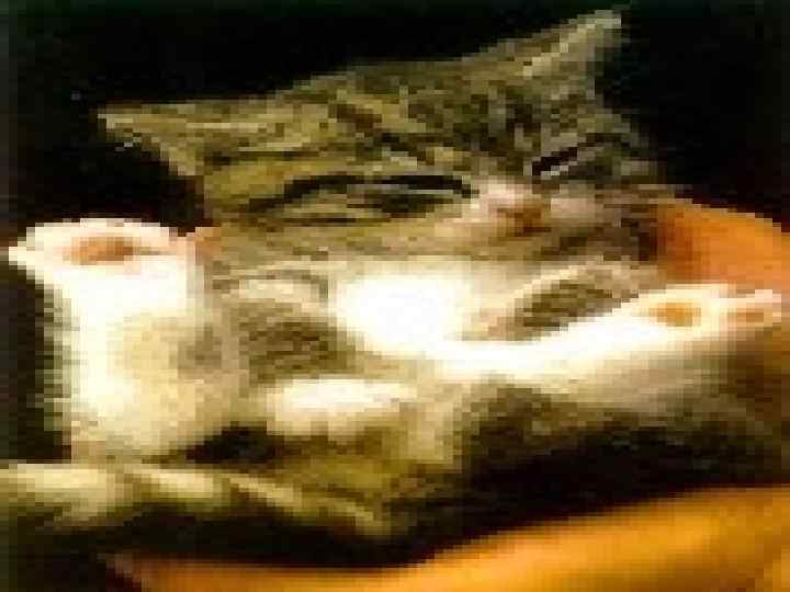 Иногда, мы верные 