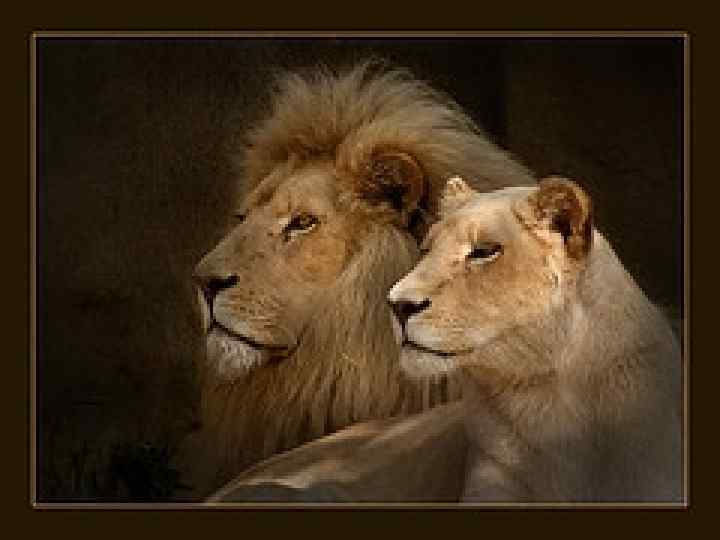 Даже погулять 