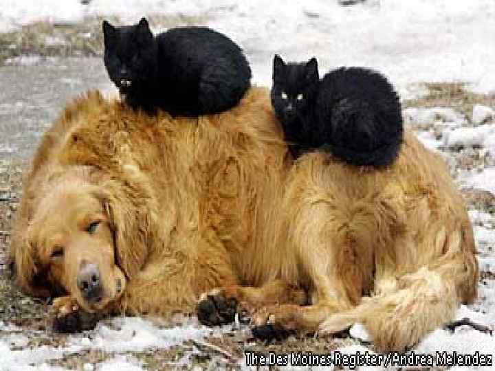 Интересно играть 