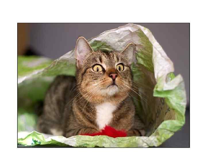 Интересно вам 