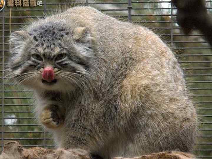 Любим фоткаться 