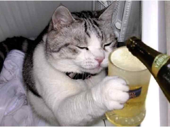 Любим, когда кормят 