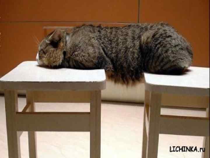 Нервы по мотать 