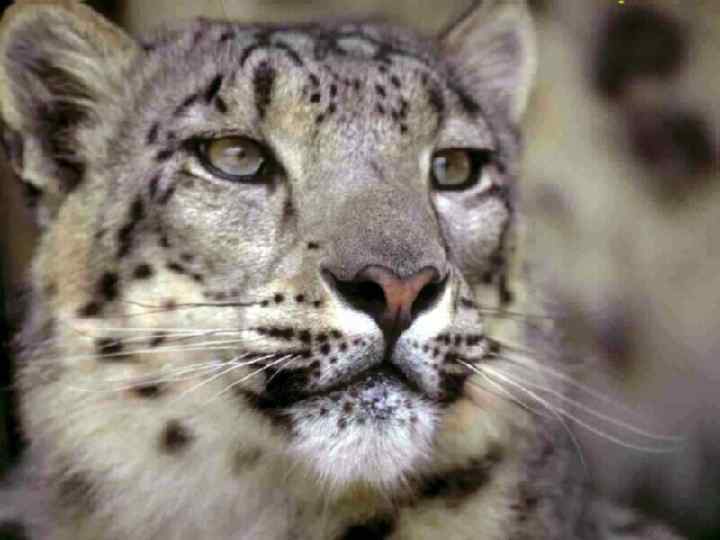 РАЗНЫЕ ПРИКОЛЫ 