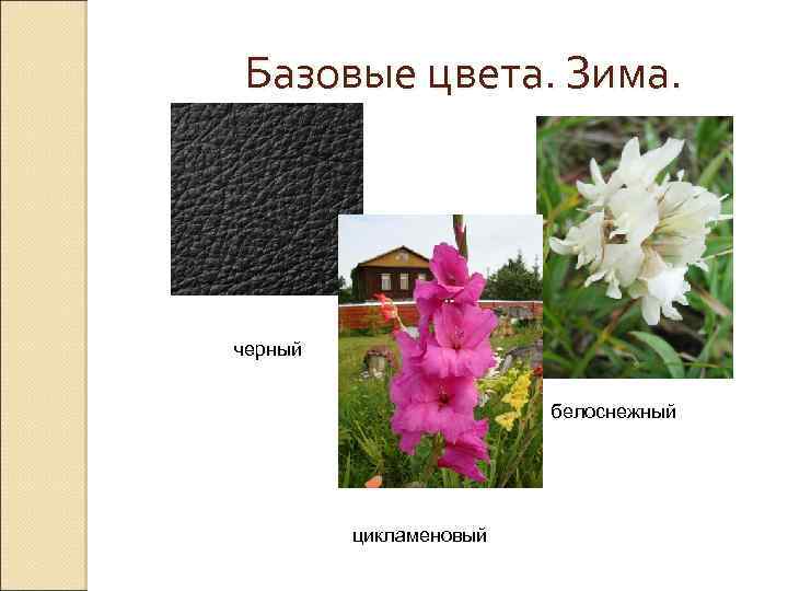 Базовые цвета. Зима. черный белоснежный цикламеновый 