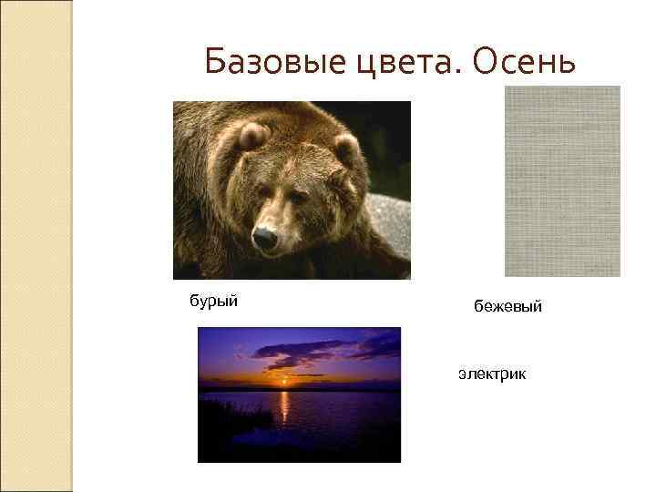 Базовые цвета. Осень бурый бежевый электрик 
