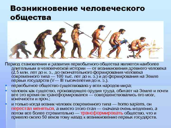 Возникновение человеческого общества Период становления и развития первобытного общества является наиболее длительным в человеческой