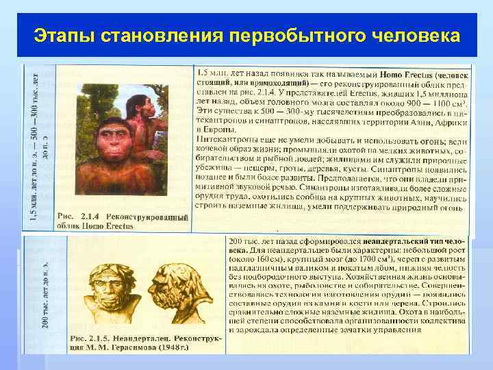 Этапы становления первобытного человека 