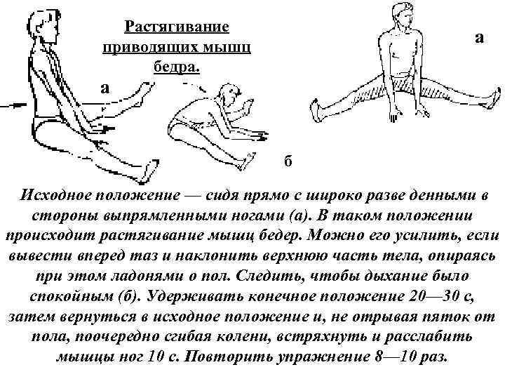 Растягивание приводящих мышц бедра. а а б Исходное положение — сидя прямо с широко