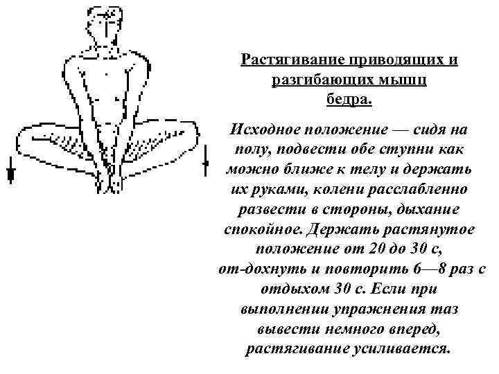 Растягивание приводящих и разгибающих мышц бедра. Исходное положение — сидя на полу, подвести обе