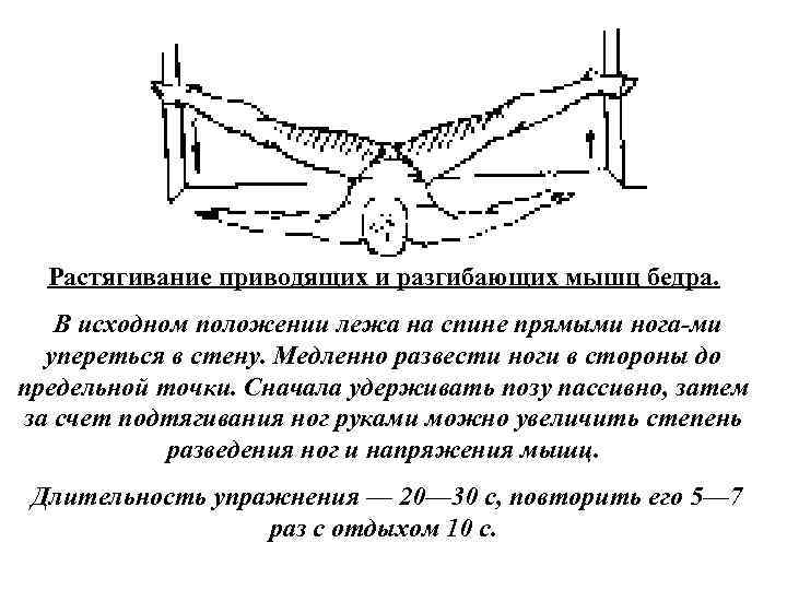 Растягивание приводящих и разгибающих мышц бедра. В исходном положении лежа на спине прямыми нога