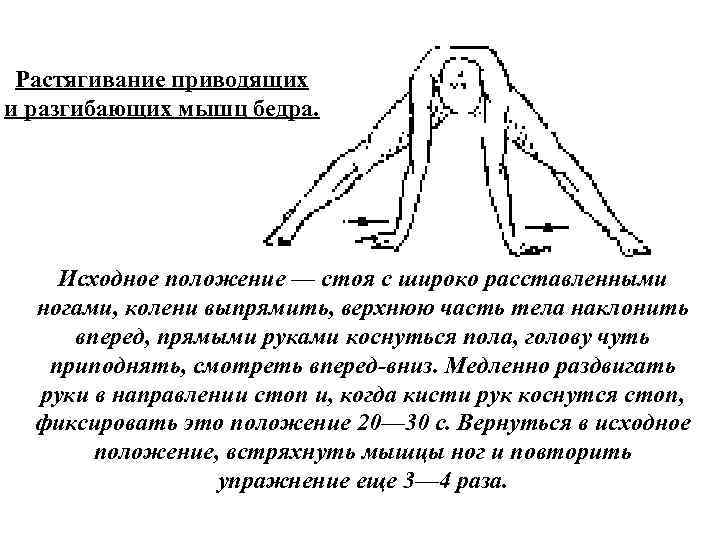 Растягивание приводящих и разгибающих мышц бедра. Исходное положение — стоя с широко расставленными ногами,