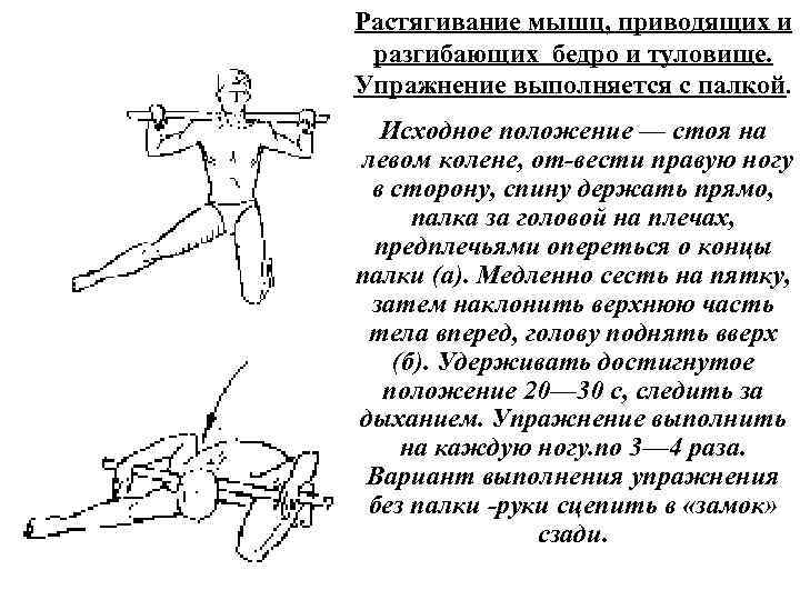 Растягивание мышц, приводящих и разгибающих бедро и туловище. Упражнение выполняется с палкой. Исходное положение