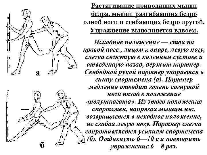 Растягивание приводящих мышц бедра, мышц разгибающих бедро одной ноги и сгибающих бедро другой. Упражнение