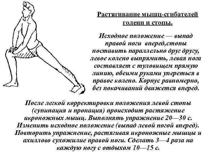 Растягивание мышц сгибателей голени и стопы. Исходное положение — выпад правой ноги вперед, стопы