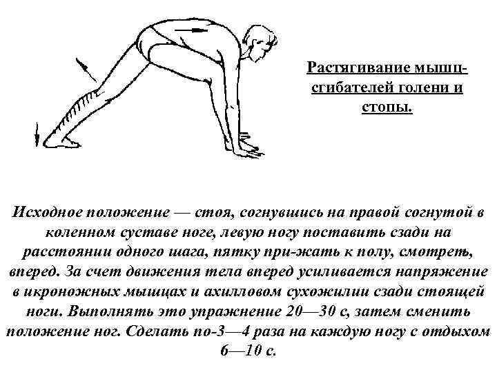 Растягивание мышц сгибателей голени и стопы. Исходное положение — стоя, согнувшись на правой согнутой
