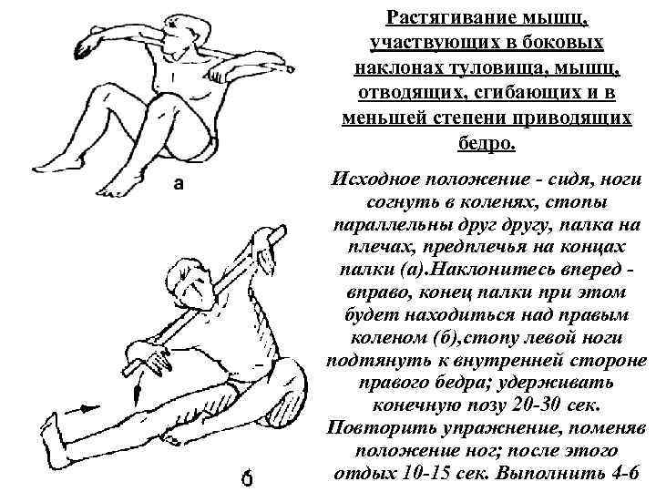 Растягивание мышц, участвующих в боковых наклонах туловища, мышц, отводящих, сгибающих и в меньшей степени