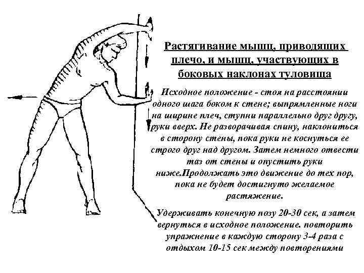 Растягивание мышц, приводящих плечо, и мышц, участвующих в боковых наклонах туловища Исходное положение стоя