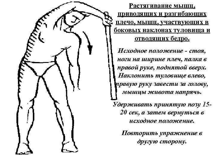 Растягивание мышц, приводящих и разгибающих плечо, мышц, участвующих в боковых наклонах туловища и отводящих