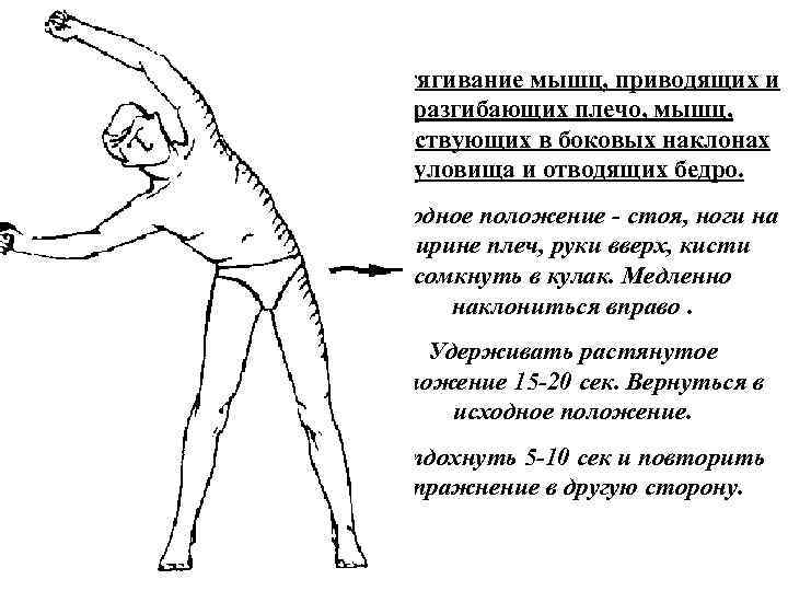 Растягивание мышц, приводящих и разгибающих плечо, мышц, участвующих в боковых наклонах туловища и отводящих