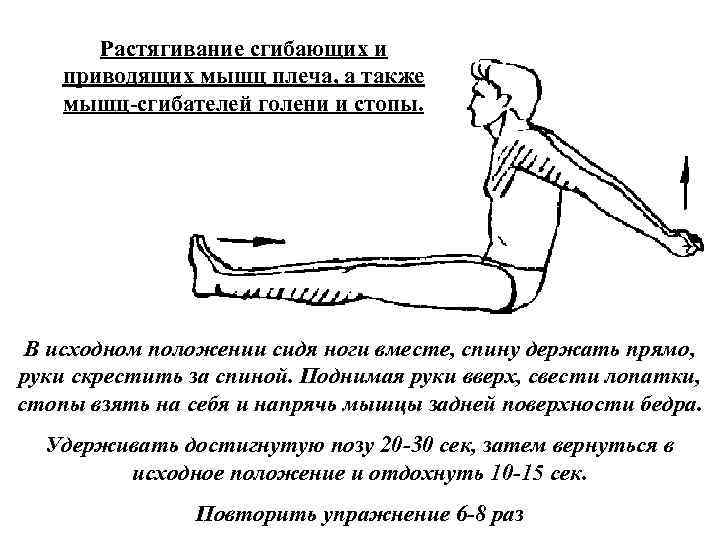 Растягивание сгибающих и приводящих мышц плеча, а также мышц сгибателей голени и стопы. В