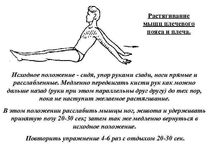 Растягивание мышц плечевого пояса и плеча. Исходное положение сидя, упор руками сзади, ноги прямые