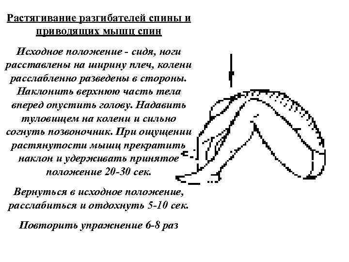 Растягивание разгибателей спины и приводящих мышц спин Исходное положение сидя, ноги расставлены на ширину
