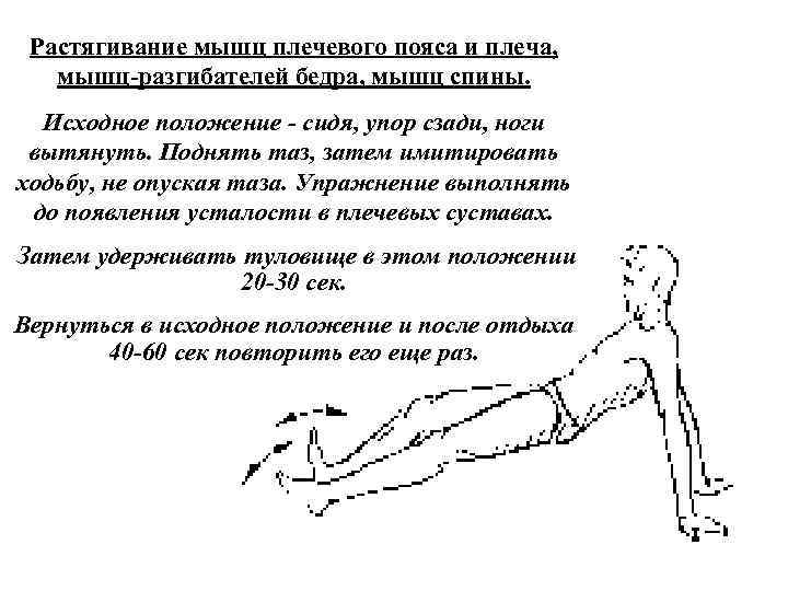 Растягивание мышц плечевого пояса и плеча, мышц разгибателей бедра, мышц спины. Исходное положение сидя,