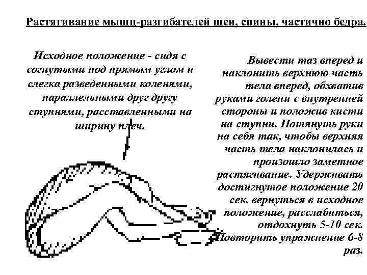 Растягивание мышц разгибателей шеи, спины, частично бедра. Исходное положение сидя с согнутыми под прямым