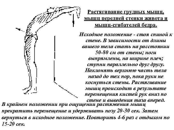 Растягивание грудных мышц, мышц передней стенки живота и мышц сгибателей бедра. Исходное положение стоя