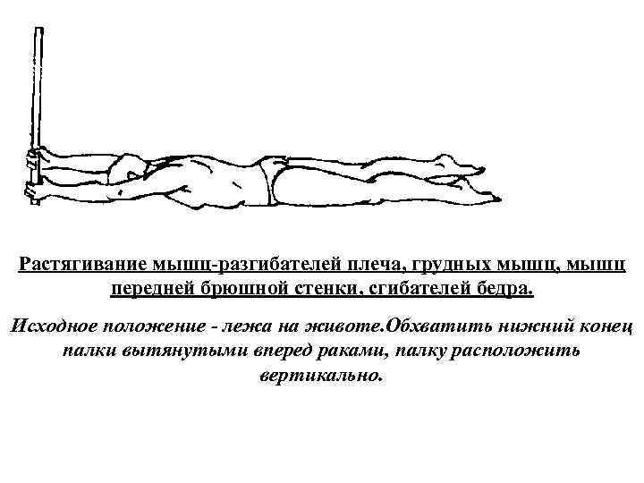 Растягивание мышц разгибателей плеча, грудных мышц, мышц передней брюшной стенки, сгибателей бедра. Исходное положение