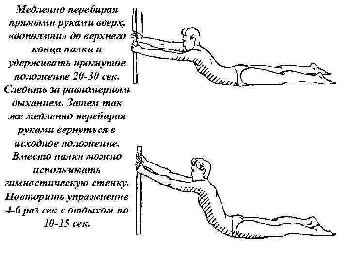 Медленно перебирая прямыми руками вверх, «доползти» до верхнего конца палки и удерживать прогнутое положение