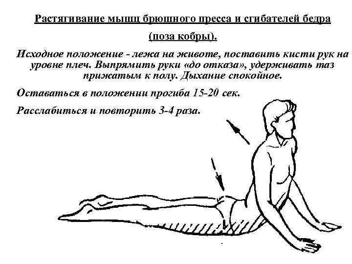 Растягивание мышц брюшного пресса и сгибателей бедра (поза кобры). Исходное положение лежа на животе,