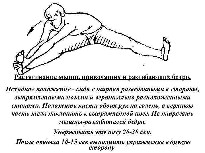 Растягивание мышц, приводящих и разгибающих бедро. Исходное положение сидя с широко разведенными в стороны,