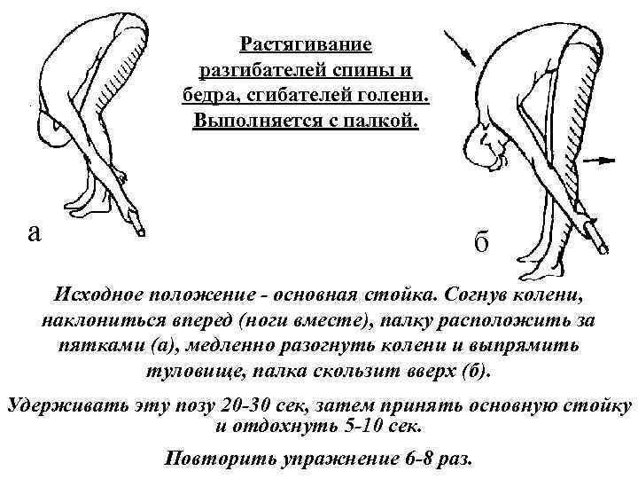 Растягивание разгибателей спины и бедра, сгибателей голени. Выполняется с палкой. а б Исходное положение