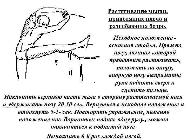 Растягивание мышц, приводящих плечо и разгибающих бедро. Исходное положение основная стойка. Прямую ногу, мышцы