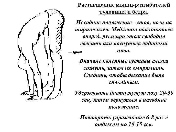 Растягивание мышц разгибателей туловища и бедра. Исходное положение стоя, ноги на ширине плеч. Медленно