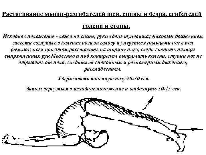 Растягивание мышц разгибателей шеи, спины и бедра, сгибателей голени и стопы. Исходное положение лежа