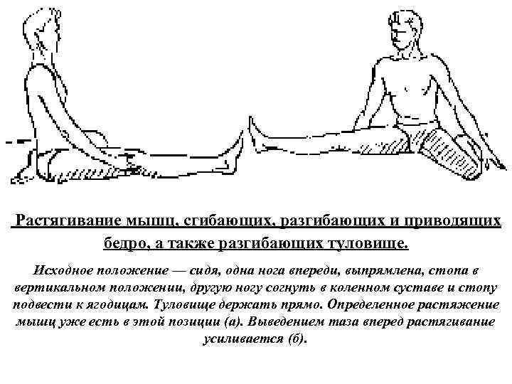 б а Растягивание мышц, сгибающих, разгибающих и приводящих бедро, а также разгибающих туловище. Исходное