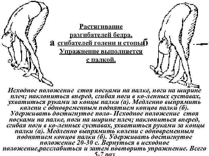 а Растягивание разгибателей бедра, сгибателей голени и стопы. б Упражнение выполняется с палкой. Исходное