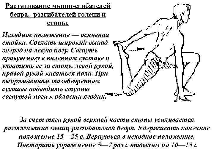 Растягивание мышц сгибателей бедра, разгибателей голени и стопы. Исходное положение — основная стойка. Сделать