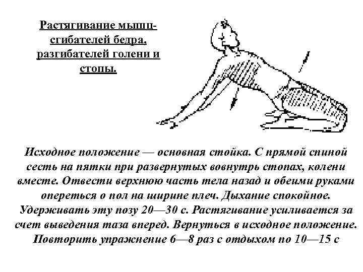 Растягивание мышц сгибателей бедра, разгибателей голени и стопы. Исходное положение — основная стойка. С